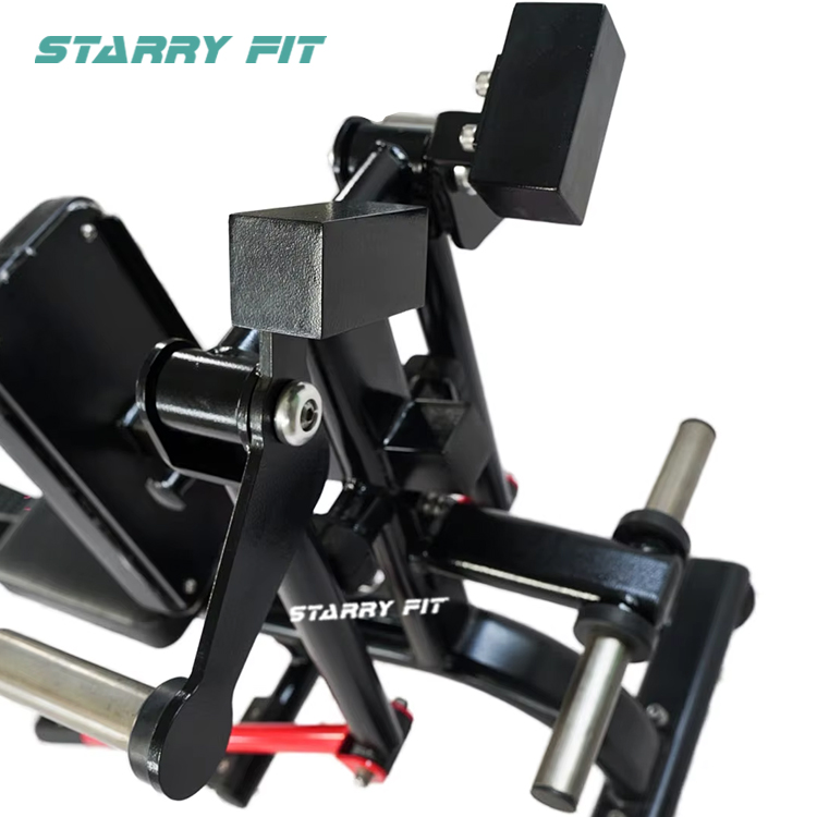 Bent Over Lateral Raise<beNT-P-BLR Bent Over Lateral Raise<beNT-P-BLR